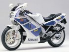 1988 Yamaha TZR 250